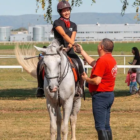 Mountain Jarilo - Scenic Fruska Gora Retreat With Fireplace, Sauna And Large Private Yard Holiday home