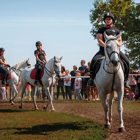 Mountain Jarilo - Scenic Fruska Gora Retreat With Fireplace, Sauna And Large Private Yard Holiday home Lezimir
