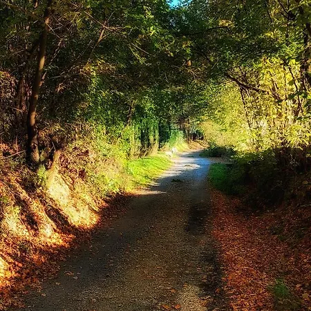 Rustic Jarilo, An Oasis Of Peace In Nature *